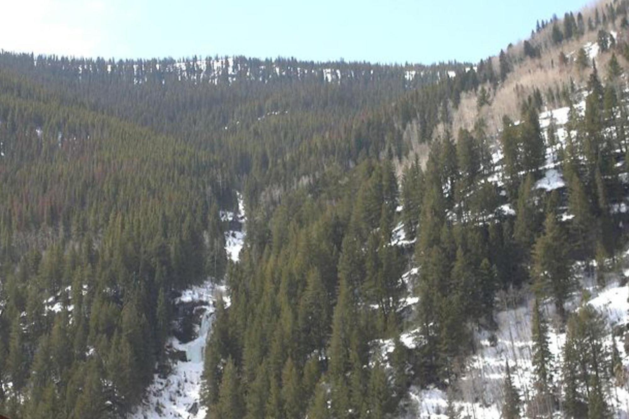 Villa Pitkin Creek Park 7 à Vail Chambre photo